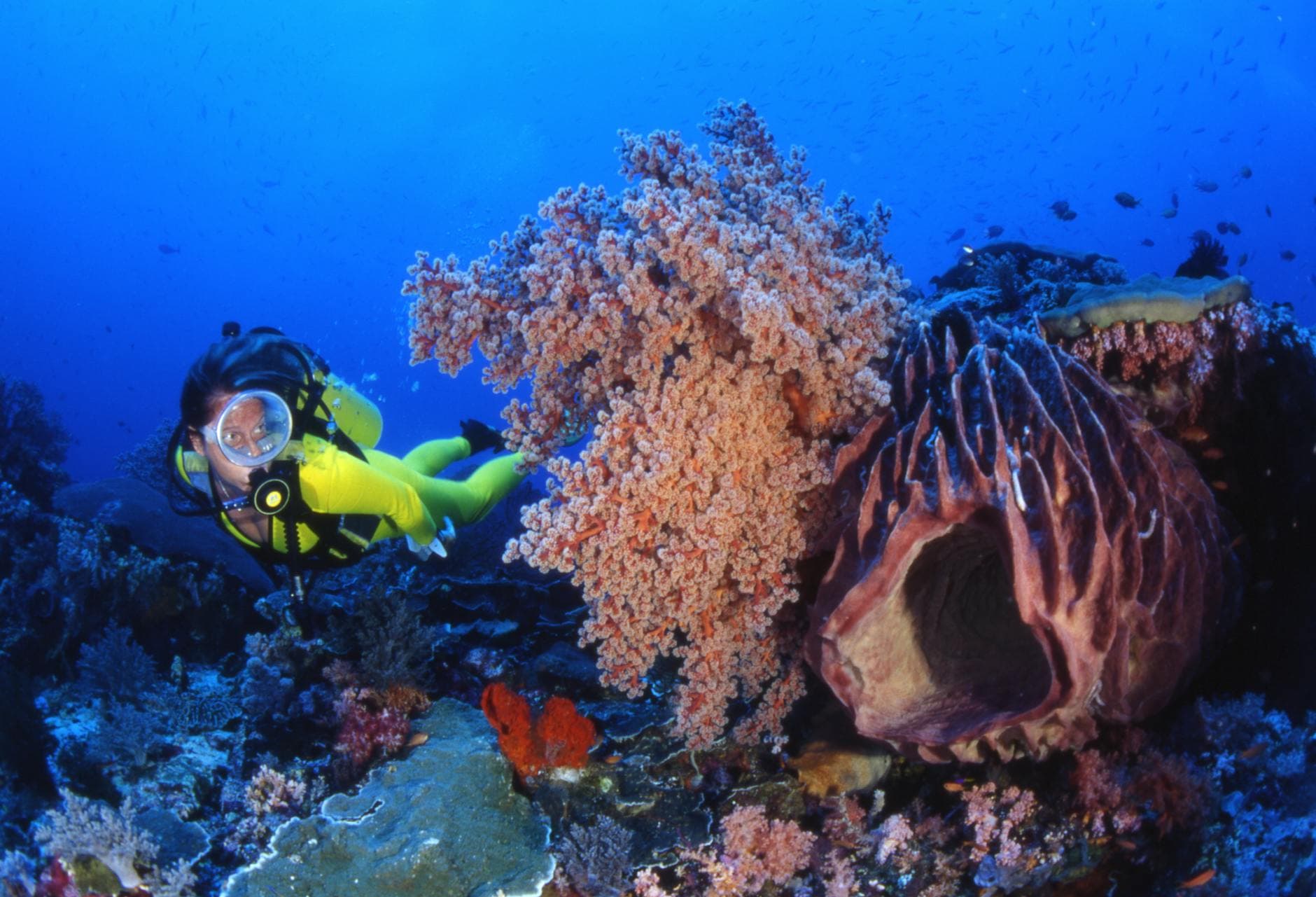 Gili Trawangan 2