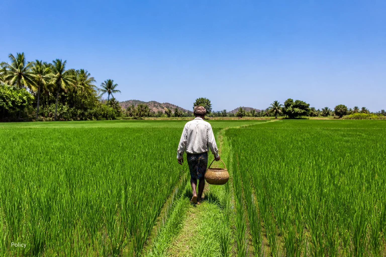 Indonesia's Food-Security Push Stabilises Economy—What It Means for Lombok Investors