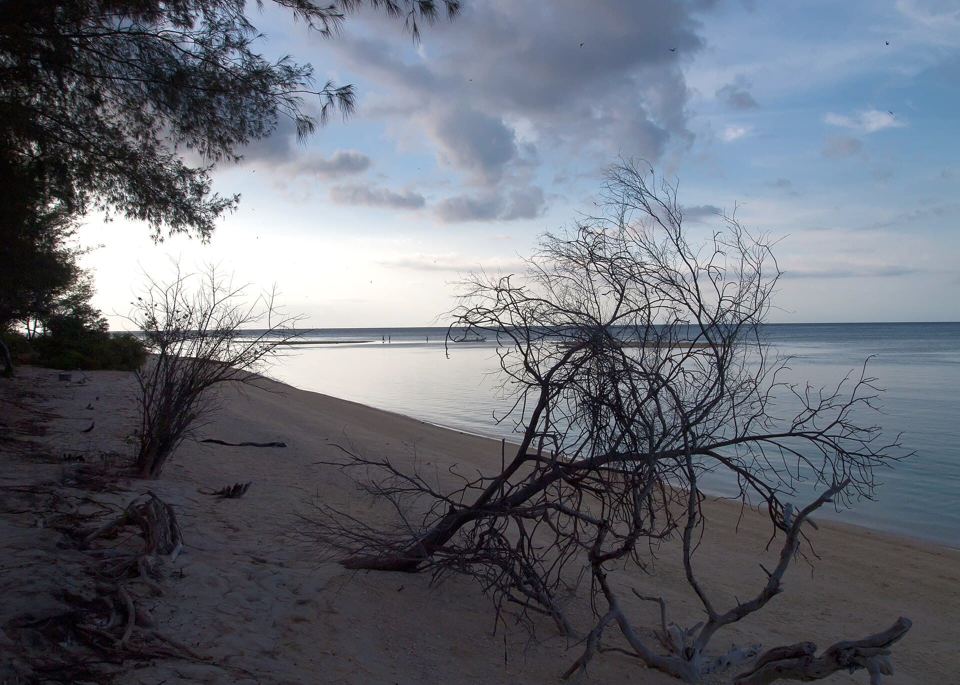 Indonesia's Blue Economy Bet: €Billions Coming to Coastal Property Markets Like Lombok