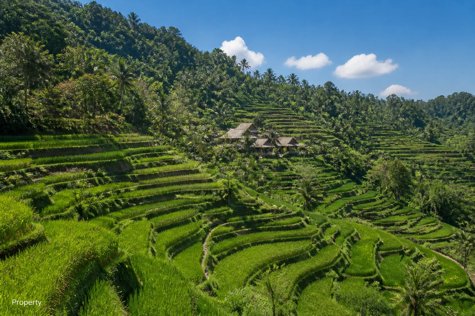 Highland Hospitality: How Bali's Cool-Climate Boom Signals Lombok's Next Growth Vector