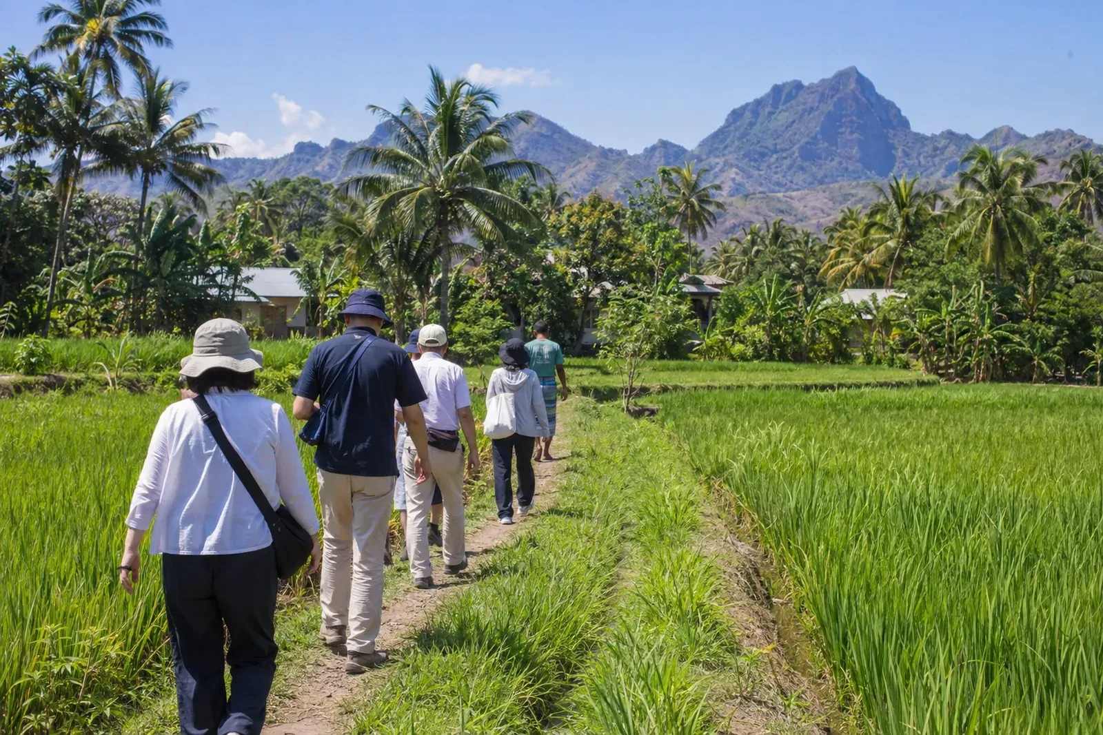 Ichinoseki Delegation Set for Bima Visit as Labour Cooperation Advances