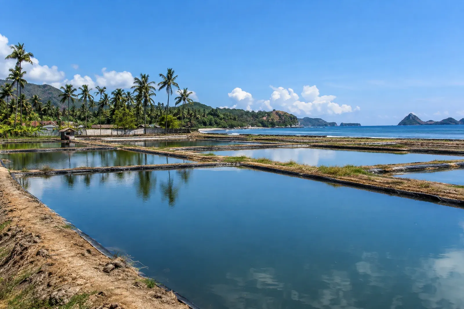 Indonesia’s Tourism Score Rises, but Investment Still Clusters in Bali and Jakarta