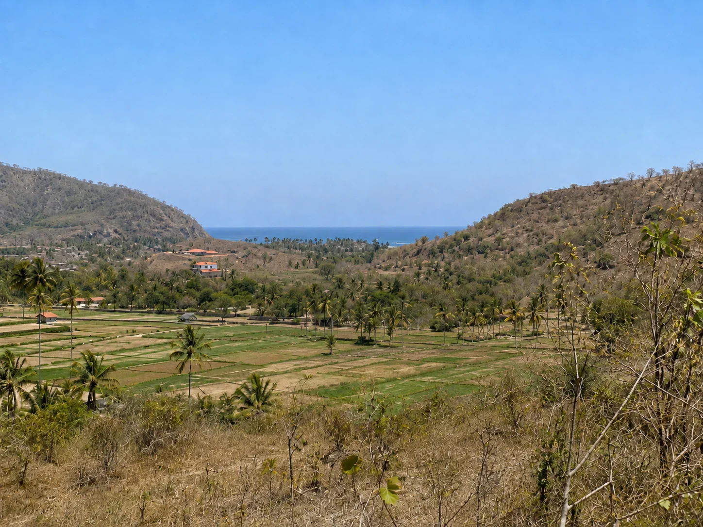 Freehold Land of 100 Are in Central Selong Belanak photo