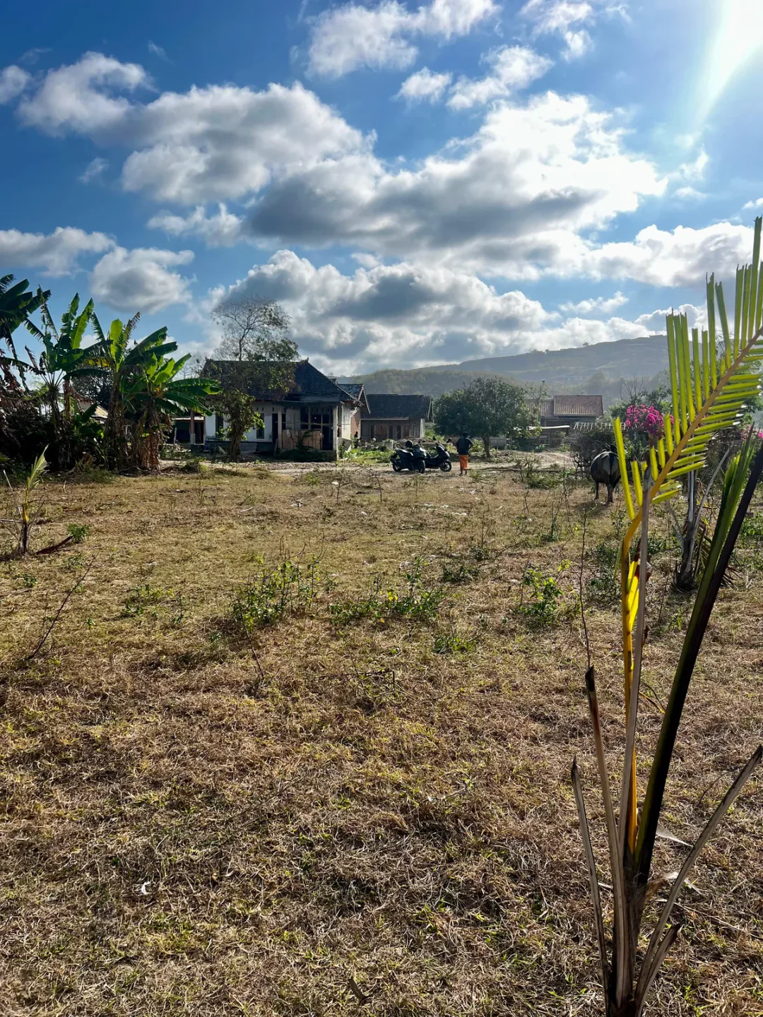 Freehold Land of 16 Are in Torok, Flat Terrain photo