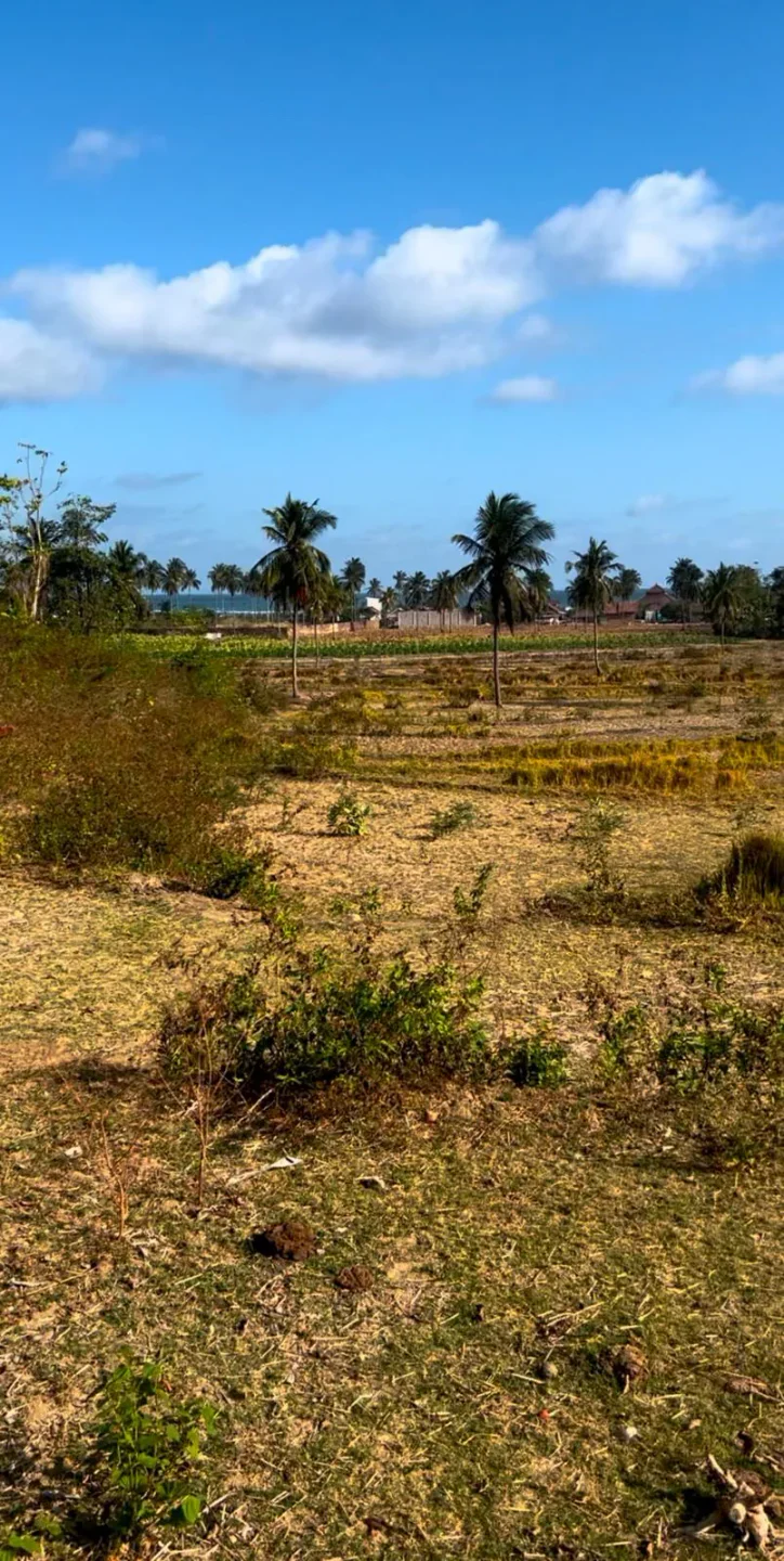 Freehold Land of 23 Are in Torok, Ocean View photo
