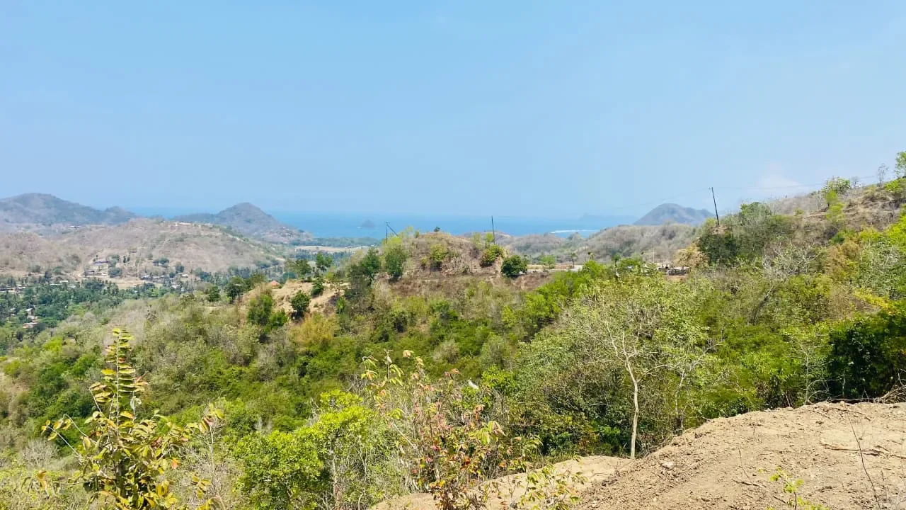 Land Starting from 5 Are in Selong Belanak photo