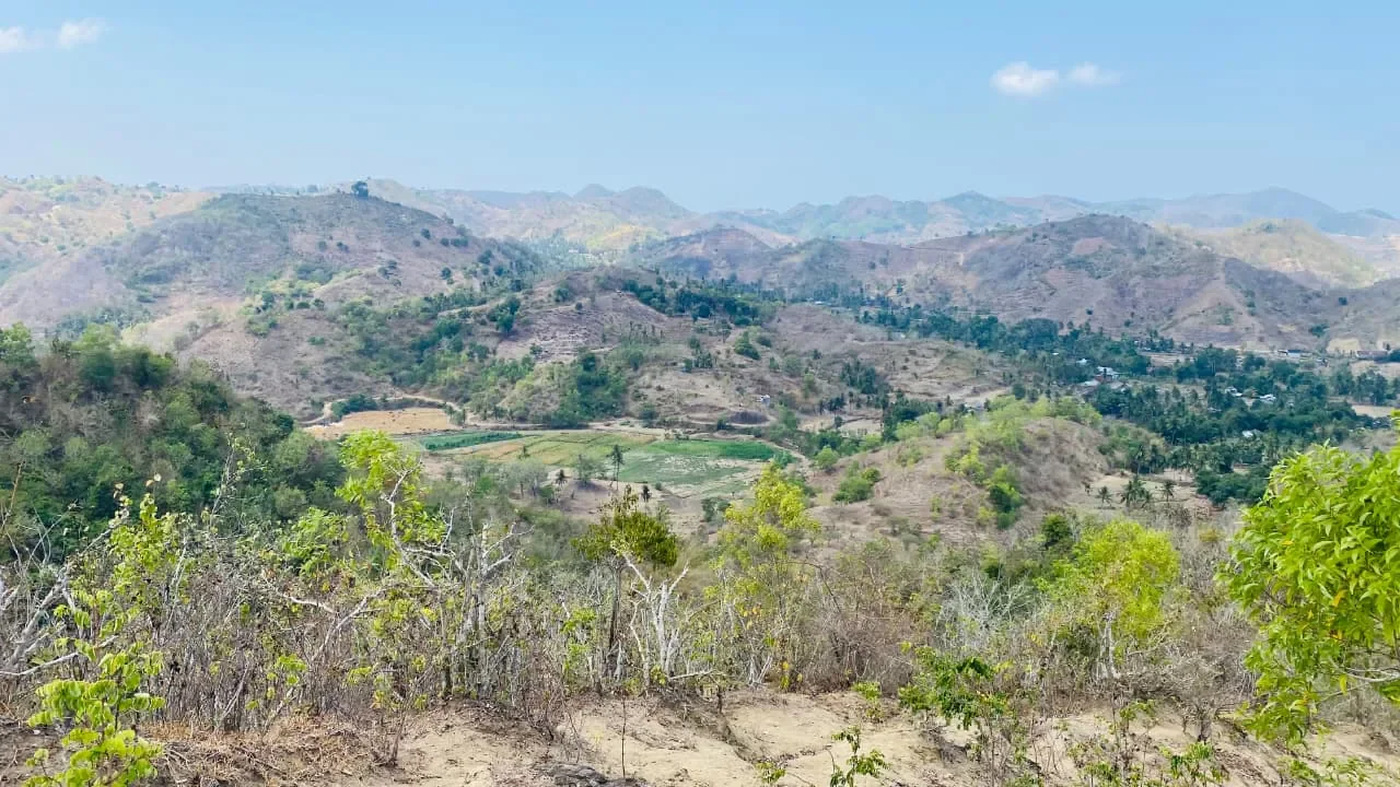 Land Starting from 5 Are in Selong Belanak photo
